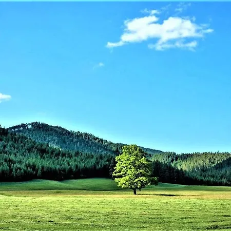 Holiday home Hoeblinghof Schwarzau im Gebirge