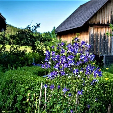 Holiday home Hoeblinghof *