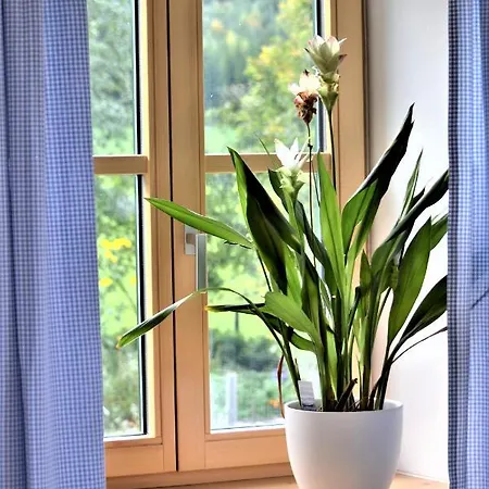 Hoeblinghof Schwarzau im Gebirge