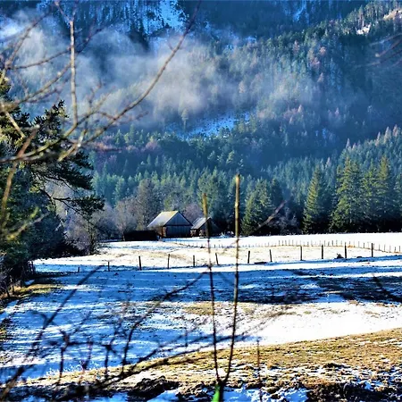 Hoeblinghof 度假居 Schwarzau im Gebirge