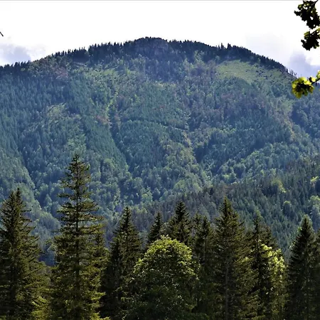 Hoeblinghof 度假居 Schwarzau im Gebirge