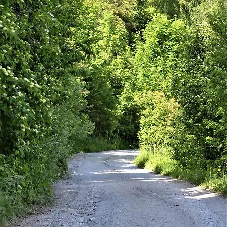 Hoeblinghof Dom wakacyjny