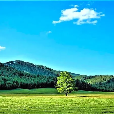 Casa vacanze Hoeblinghof *