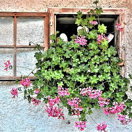Casa vacanze Hoeblinghof
