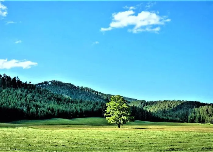 Сasa de vacaciones Hoeblinghof Schwarzau im Gebirge