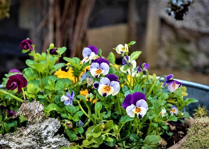 Hoeblinghof Сasa de vacaciones