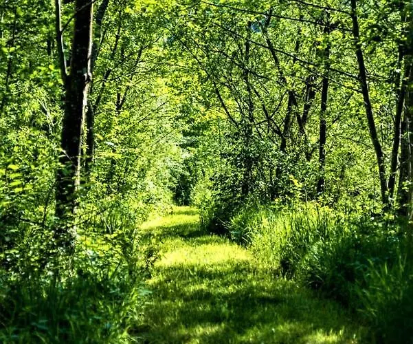 Hoeblinghof Schwarzau im Gebirge