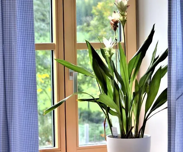 Hoeblinghof Schwarzau im Gebirge