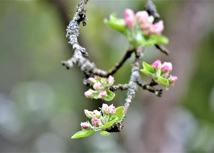 Hoeblinghof * Schwarzau im Gebirge