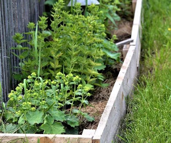 Hoeblinghof Сasa de vacaciones Schwarzau im Gebirge
