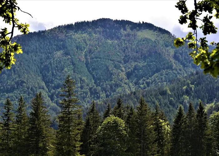 Hoeblinghof Сasa de vacaciones Schwarzau im Gebirge