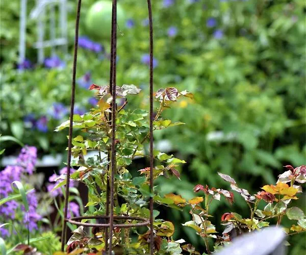 Hoeblinghof * Schwarzau im Gebirge